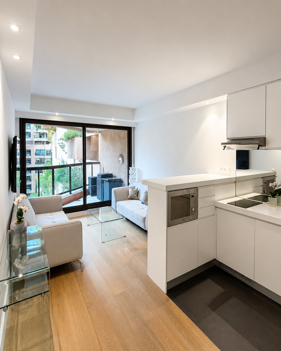 Large Elegant Studio in Monte Carlo Sun